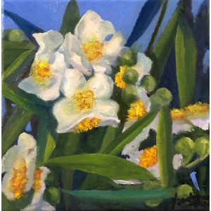 FlowerSeries 21