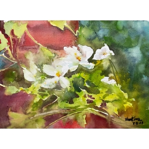 FlowerSeries 24