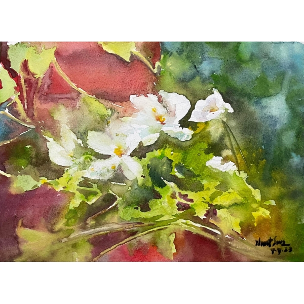 FlowerSeries 24