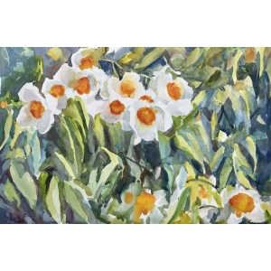 Flower series 28 (2025)